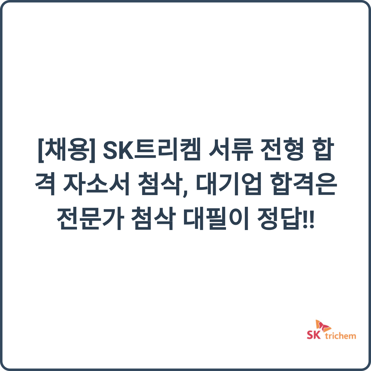 자소서 첨삭 및 대필 전문가